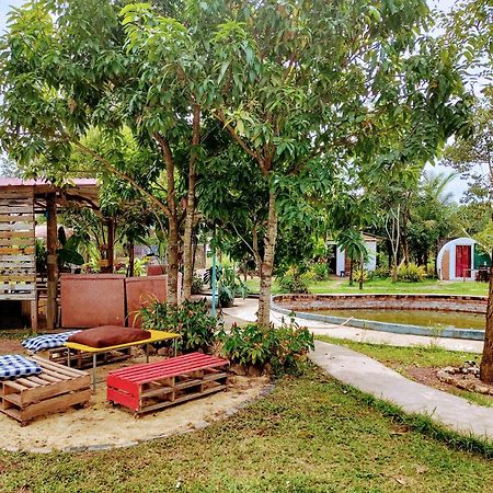 The Bear Bungalow Kampot Eksteriør bilde